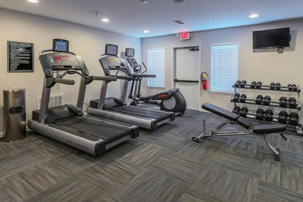 Charming Apartment With Wi-Fi Charlotte